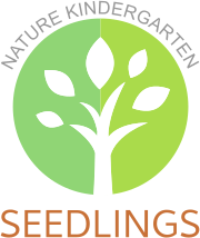 Logo Seedlings